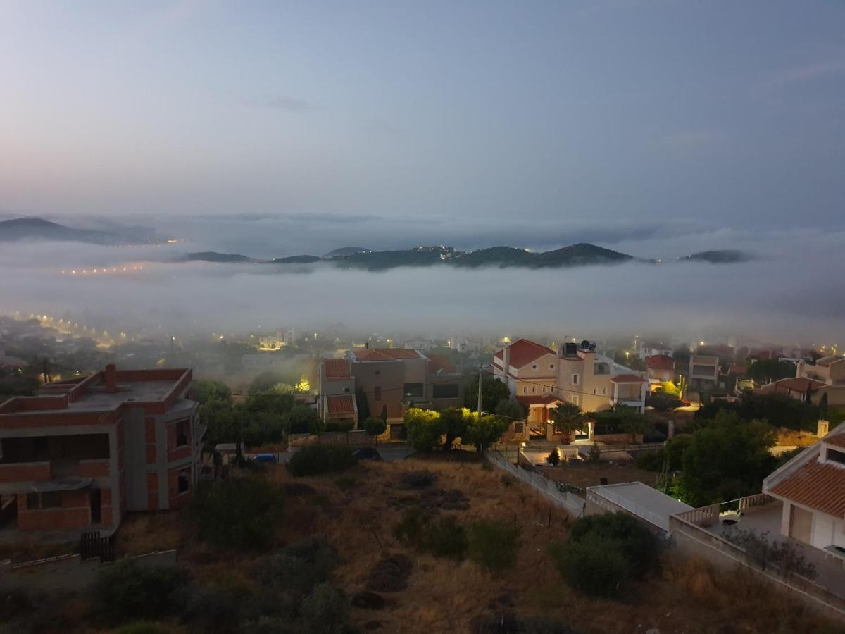 Saronida "Stergiou Luxury Apartments" Με Κοινη Πισινα מראה חיצוני תמונה